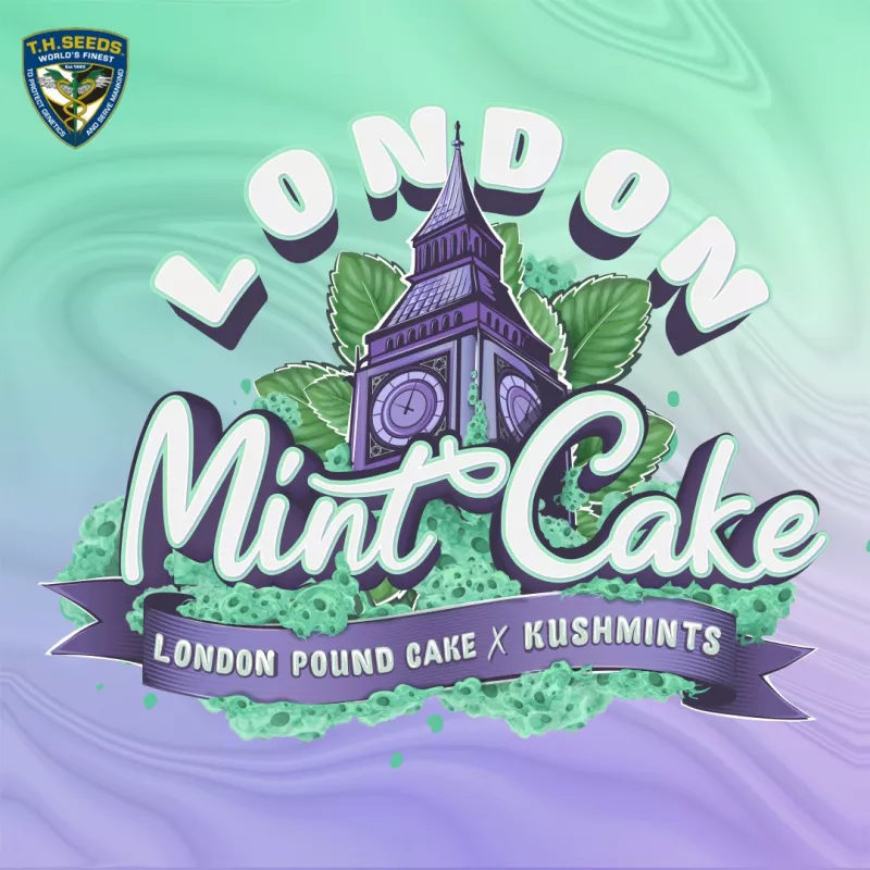 London Mint Cake - T.H.Seeds