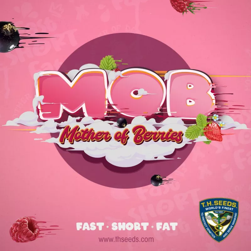Mob - T.H.Seeds