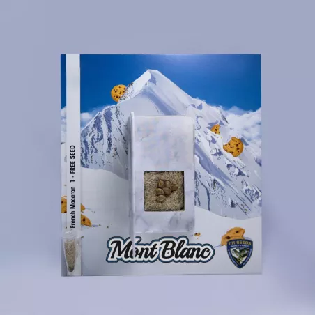 Mont Blanc - T.H.Seeds