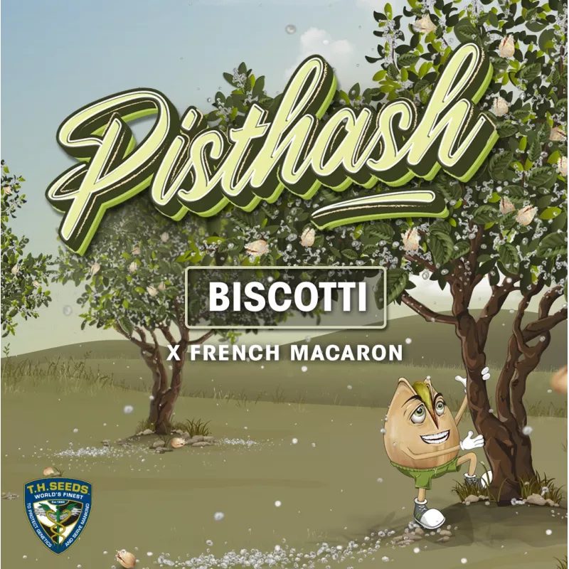 Pisthash - T.H.Seeds