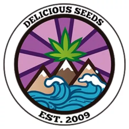 Unknown Kush Early Version - Delicious Seeds