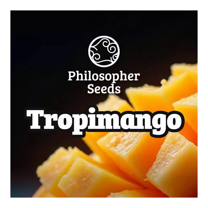 Tropimango - Philosopher Seeds