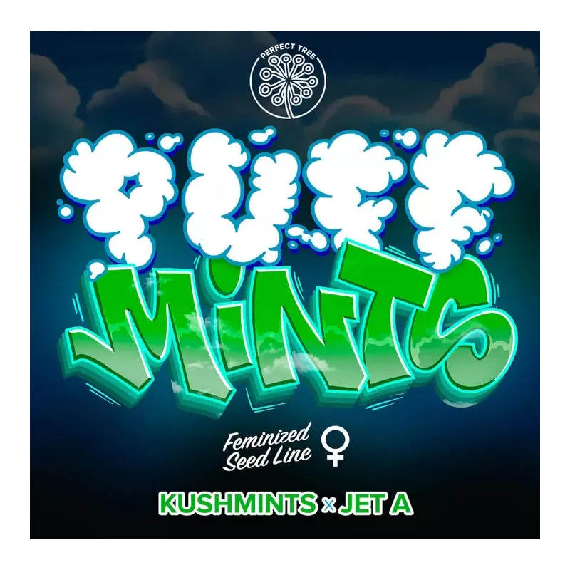Puff Mints - Perfect Tree Seeds