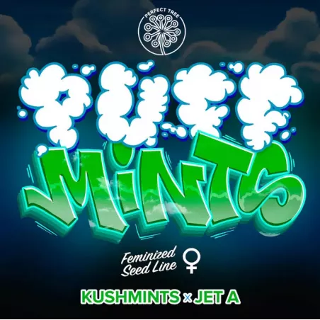 Puff Mints - Perfect Tree Seeds