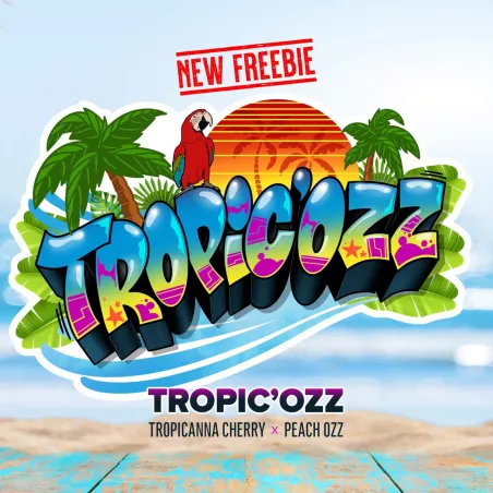 Tropic'ozz - Perfect Tree Seeds