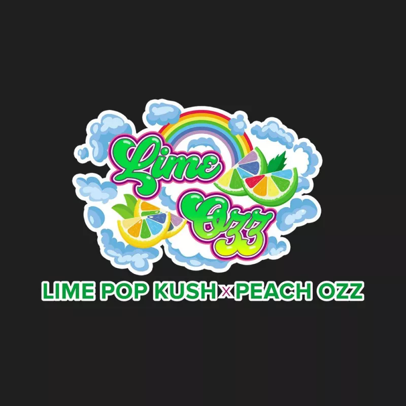 Lime Ozz - Perfect Tree Seeds