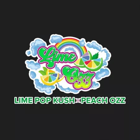 Lime Ozz - Perfect Tree Seeds