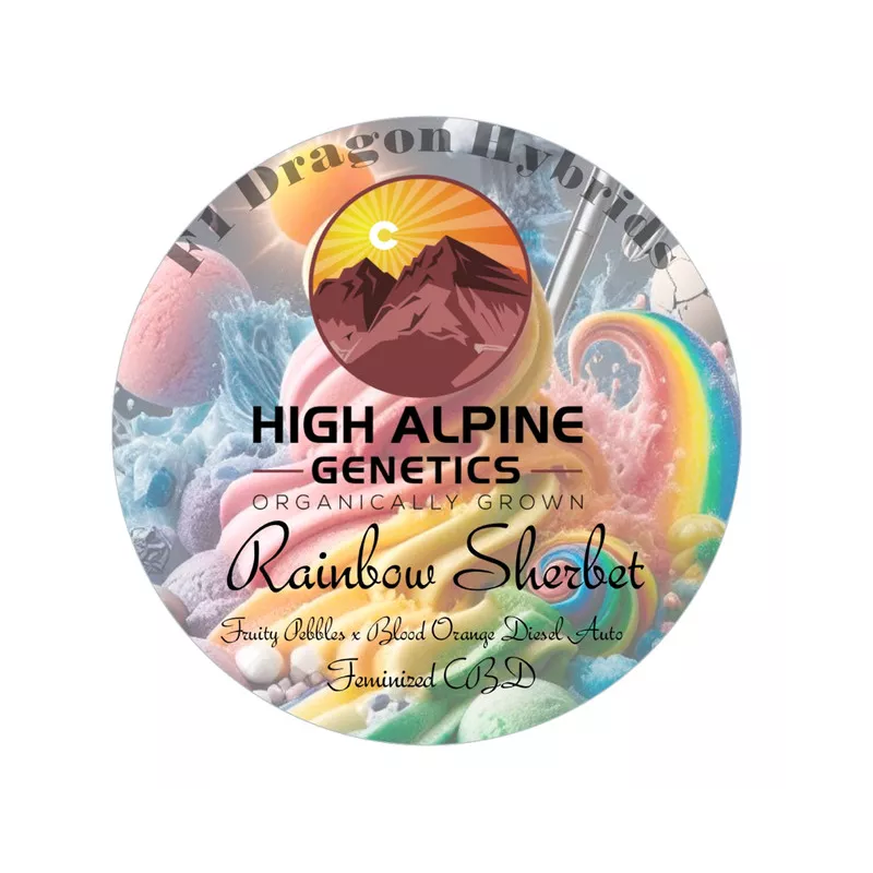 Raimbow Sherbet - High Alpine Genetics - Les jardins de bouddha