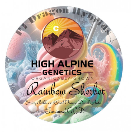 Rainbow Sherbet - High Alpine Genetics
