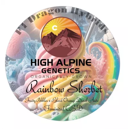 Raimbow Sherbet - High Alpine Genetics - Les jardins de bouddha