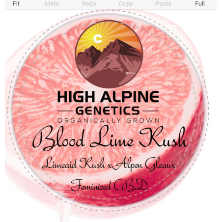 Blood Lime Kush - High Alpine Genetics