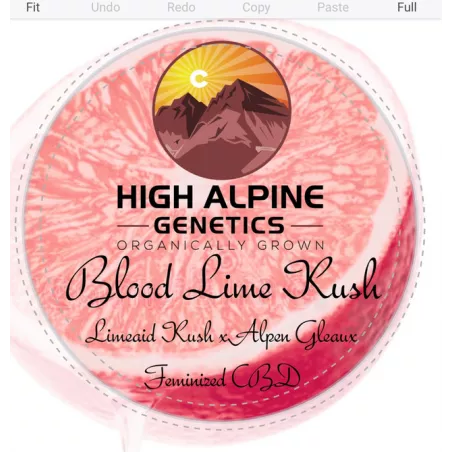 Blood Lime Kush - High Alpine Genetics - Les jardins de bouddha