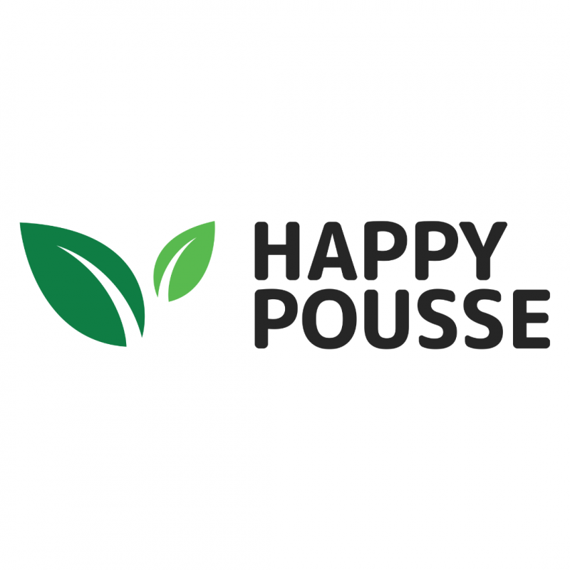 Dark Saphir - cultivée en greenhouse - Happy Pousse