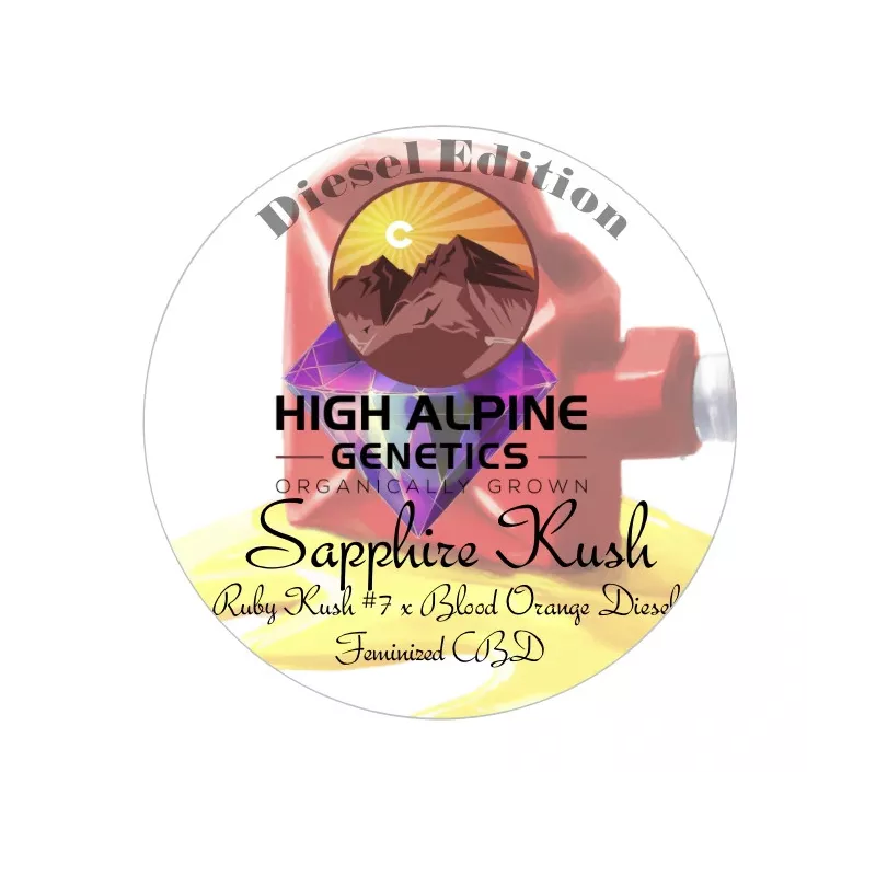 Sapphire Kush - High Alpine Genetics - Les jardins de bouddha