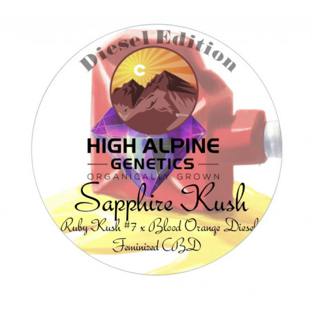 Sapphire Kush - High Alpine Genetics