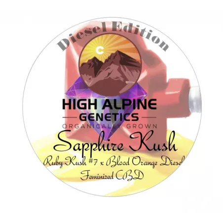 Sapphire Kush - High Alpine Genetics - Les jardins de bouddha