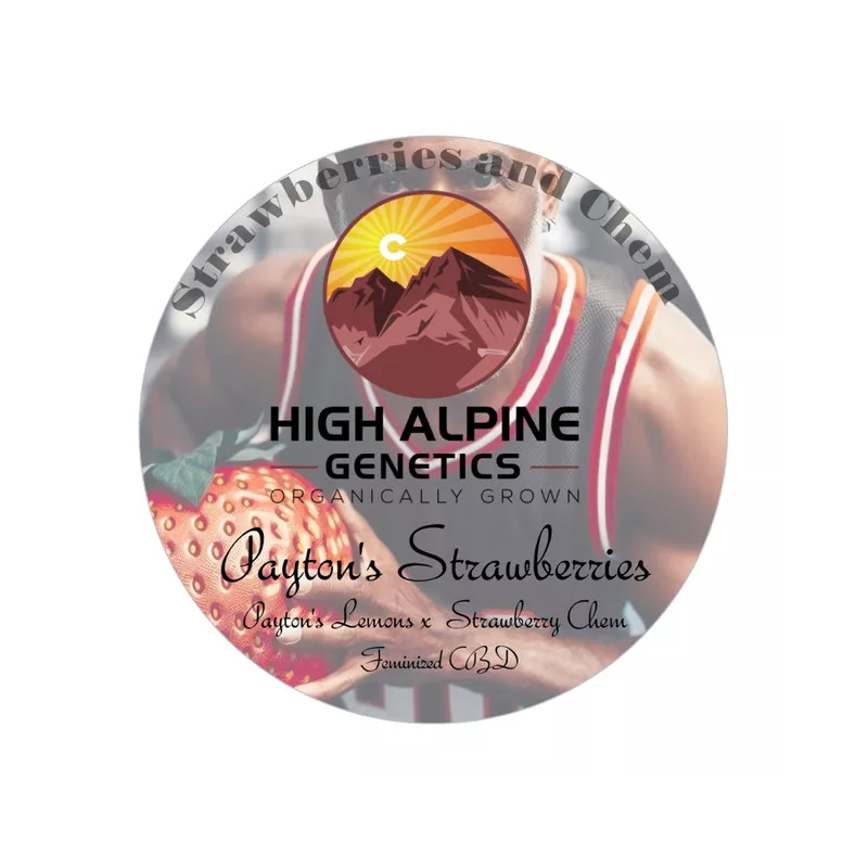 Payton's Strawberries - High Alpine Genetics - Les jardins de bouddha