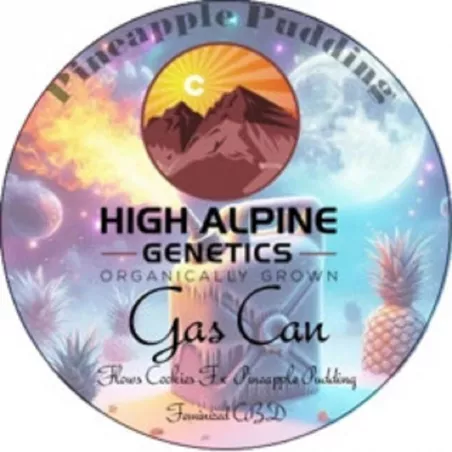 Gas Can - High Alpine Genetics - Les jardins de bouddha