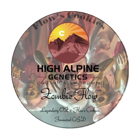 Zombie Flow - High Alpine Genetics