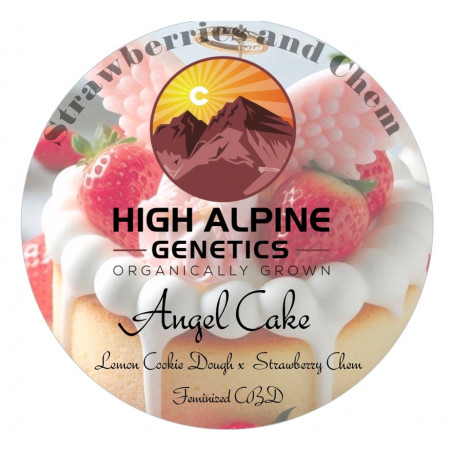 Angel Cake - High Alpine Genetics