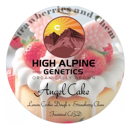 Angel Cake - High Alpine Genetics - Les jardins de bouddha