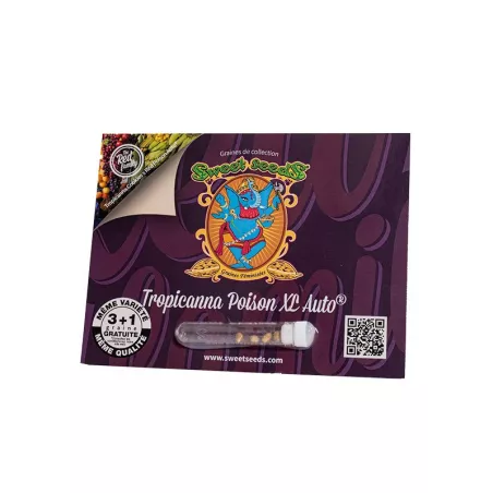 Tropicanna Poison XL Auto- Sweet Seeds