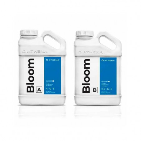 ATHENA - BLOOM A+B BLENDED - Gamme Liquide Athena