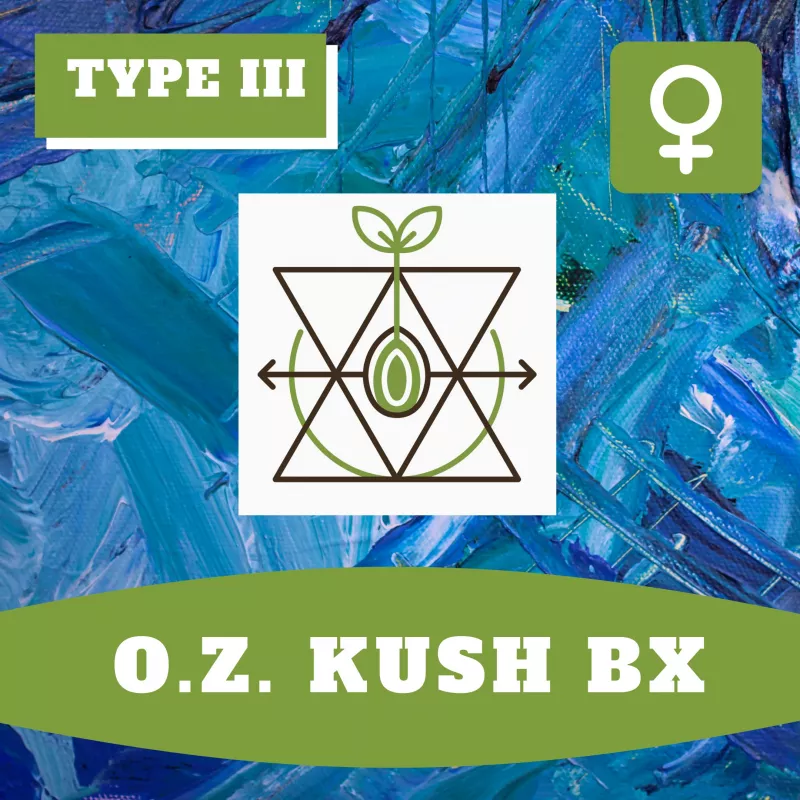 OZ Kush F3 - Hoku Seeds