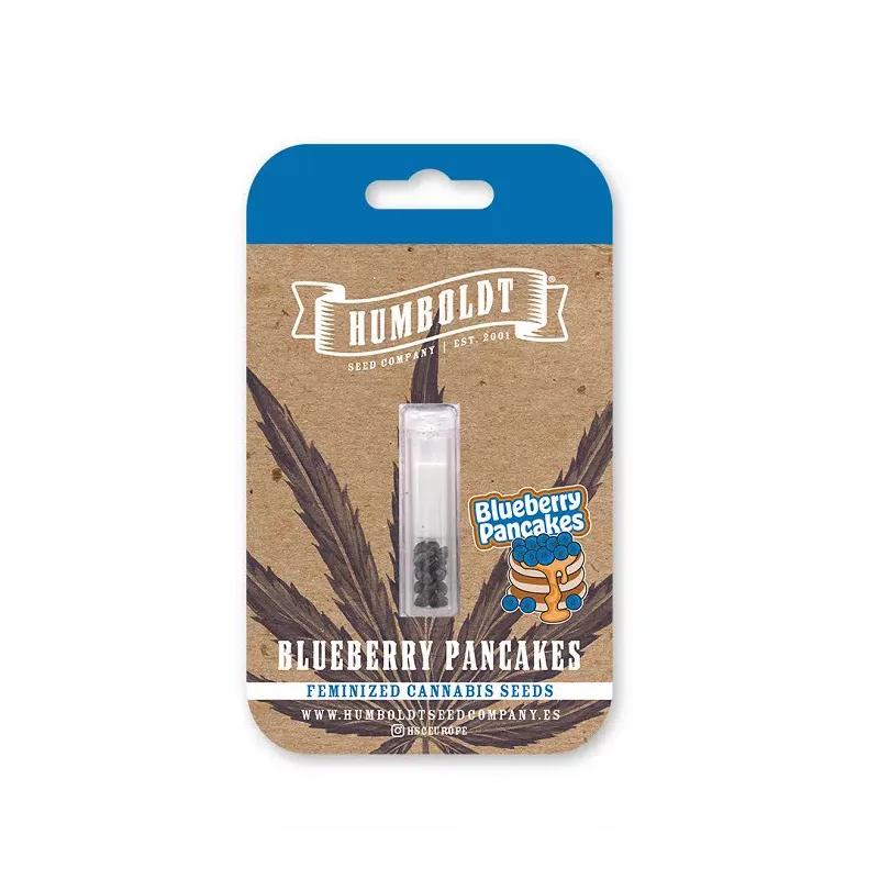 Blueberry Pancakes - Humboldt Seed Company