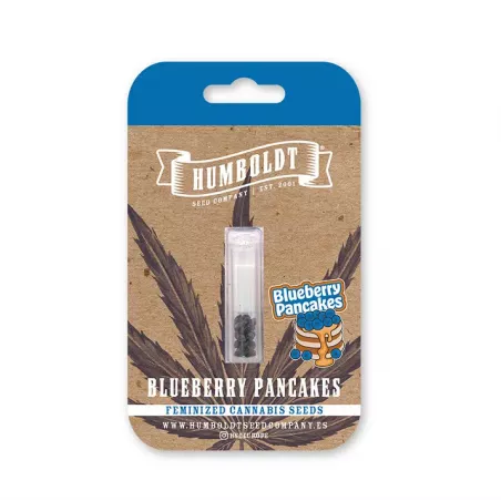 Blueberry Pancakes - Humboldt Seed Company