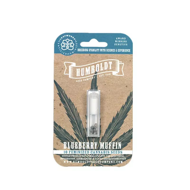 Blueberry Muffin - Humboldt Seed Company