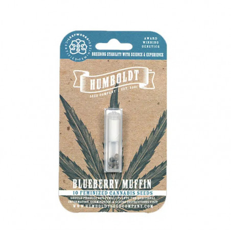 Blueberry Muffin - Humboldt Seed Company