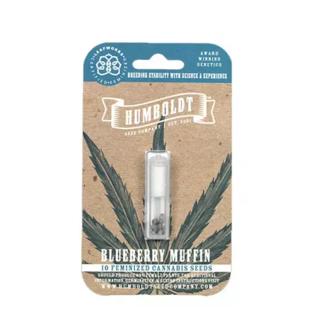 Blueberry Muffin - Humboldt Seed Company