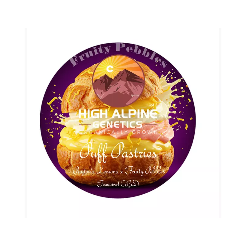 Puff Pastries - High Alpine Genetics - Les jardins de bouddha