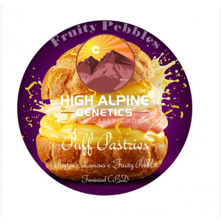 Puff Pastries - High Alpine Genetics