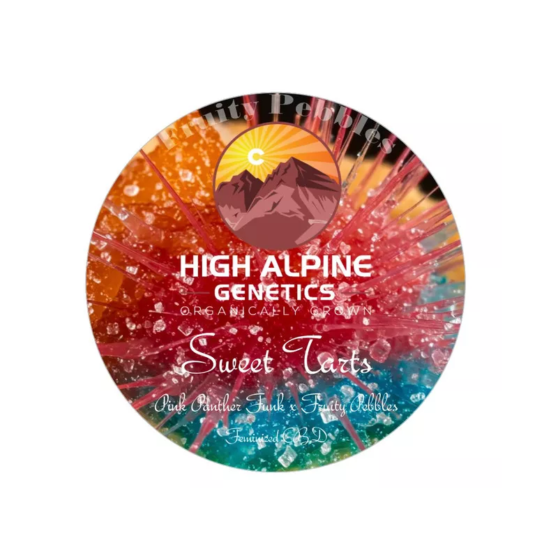 Sweet Tarts - High Alpine Genetics - Les jardins de bouddha
