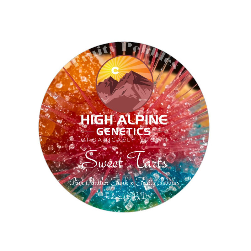 Sweet Tarts - High Alpine Genetics