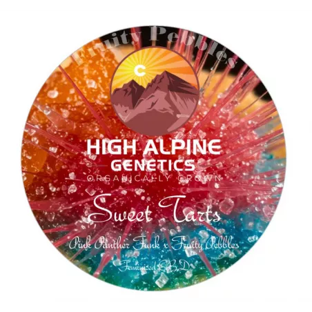 Sweet Tarts - High Alpine Genetics - Les jardins de bouddha