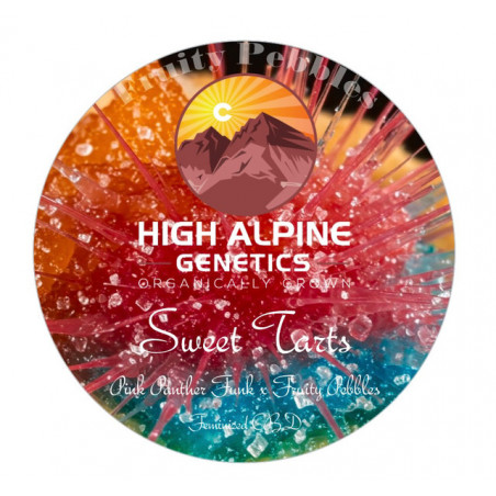 Sweet Tarts - High Alpine Genetics