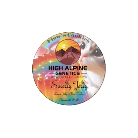 Smelly Jelly - High Alpine Genetics - Les jardins de bouddha