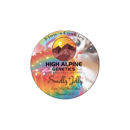 Smelly Jelly - High Alpine Genetics