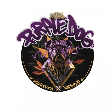 Purple Dog - Imperial Seal Seeds