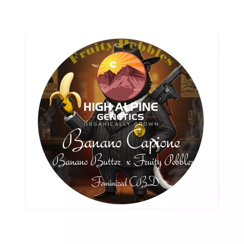 Banano Capione - High Alpine Genetics