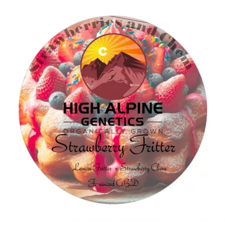 Strawberry Fritter - High Alpine Genetics - Les jardins de bouddha