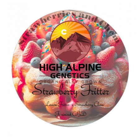 Strawberry Fritter - High Alpine Genetics