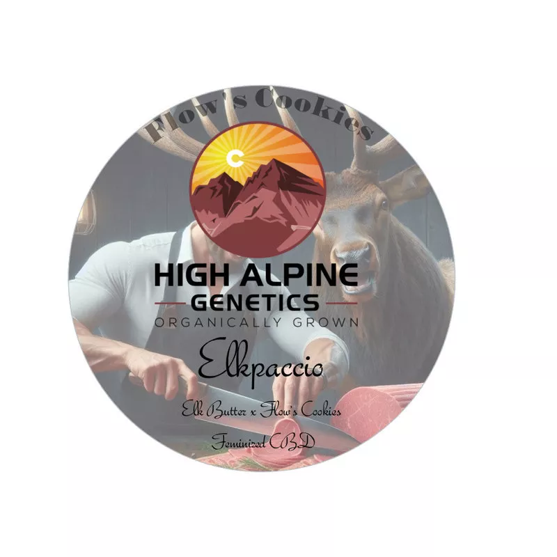 Elkpaccio - High Alpine Genetics - Les jardins de bouddha