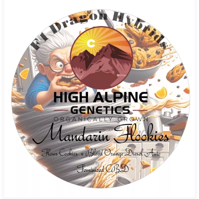 Mandarin Flookies- High Alpine Genetics - Les jardins de bouddha