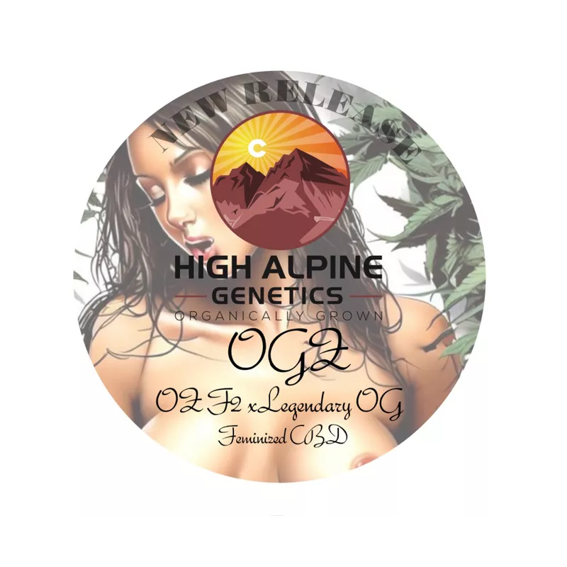 OGZ - High Alpine Genetics - Les jardins de bouddha