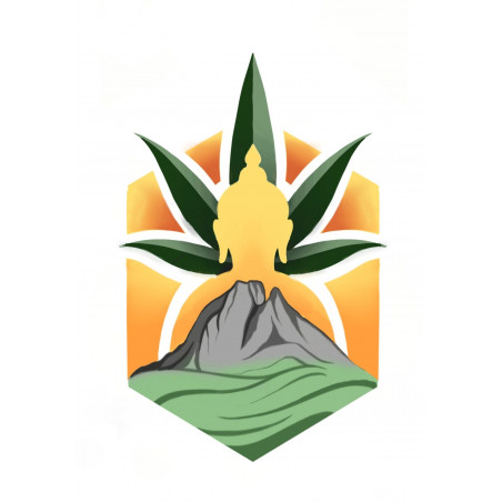 River CBD seeds - Les Jardins de Bouddha