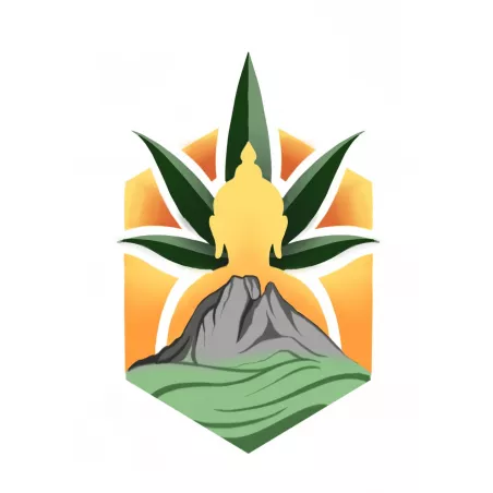 River CBD seeds - Les Jardins de Bouddha